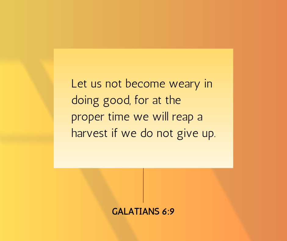 Cultivating Your Brand: Planting Seeds for Future Harvest